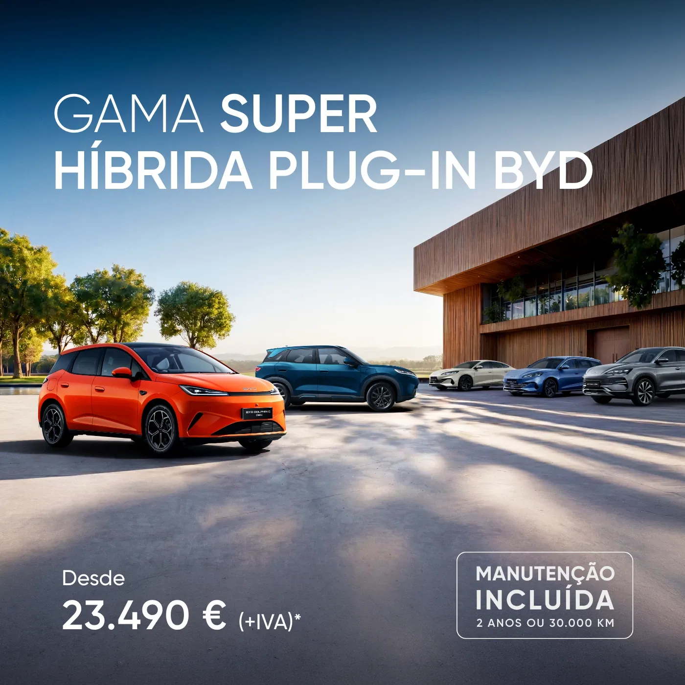 Veículos da gama híbrida plug-in e elétrica BYD alinhados no exterior de um edifício moderno.