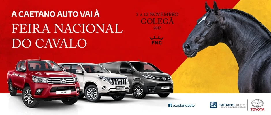 feira golegã