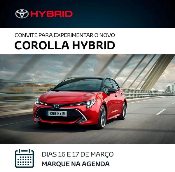 novo corolla2
