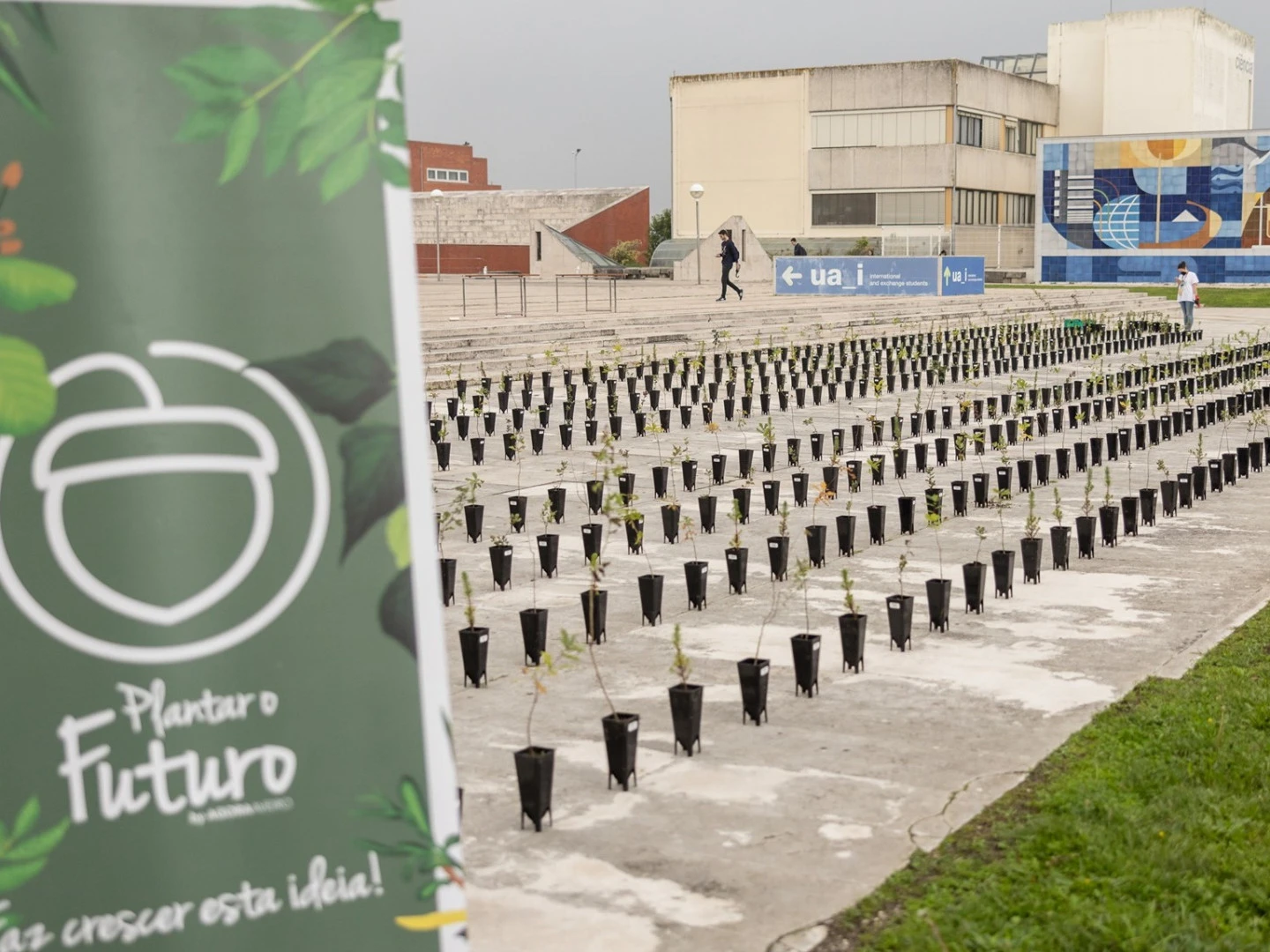 plantar o futuro