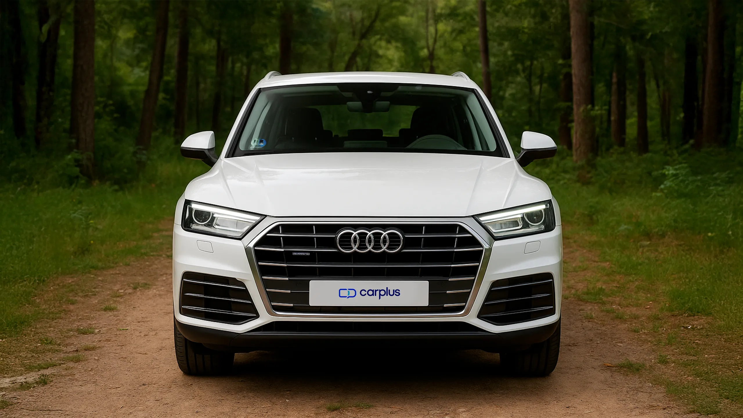 Audi Q5 de ocasión Audi Q5 de ocasión