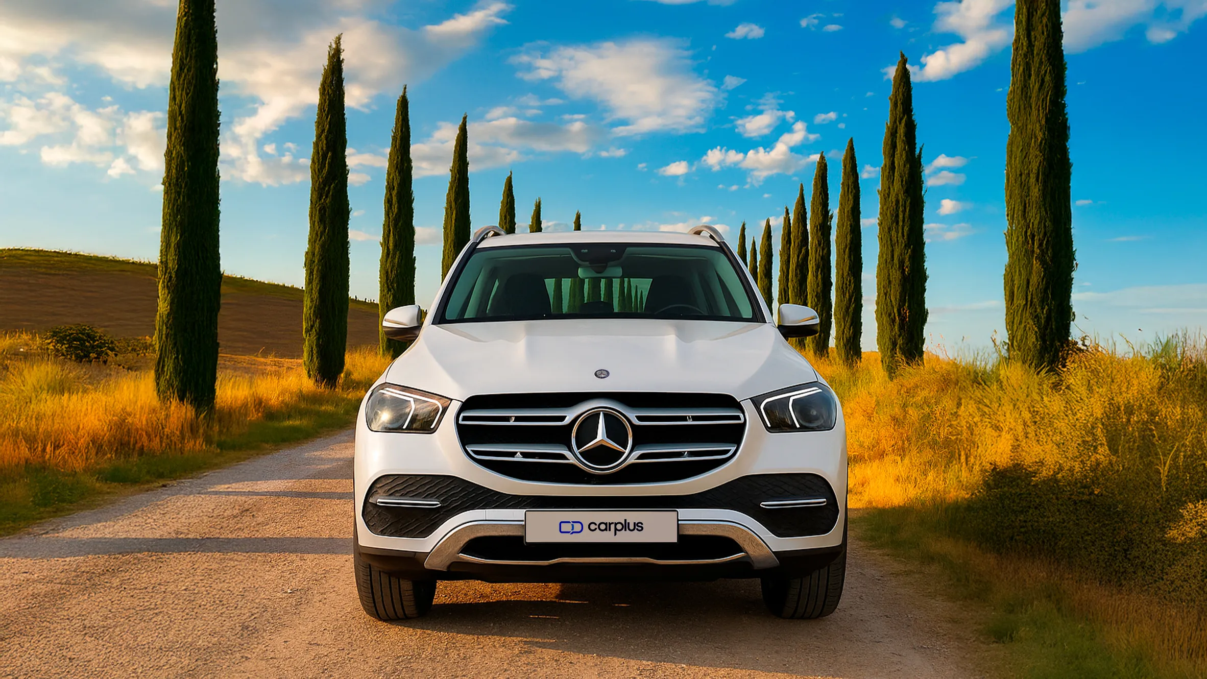 Mercedes Benz GLE de ocasión Mercedes Benz GLE de ocasión