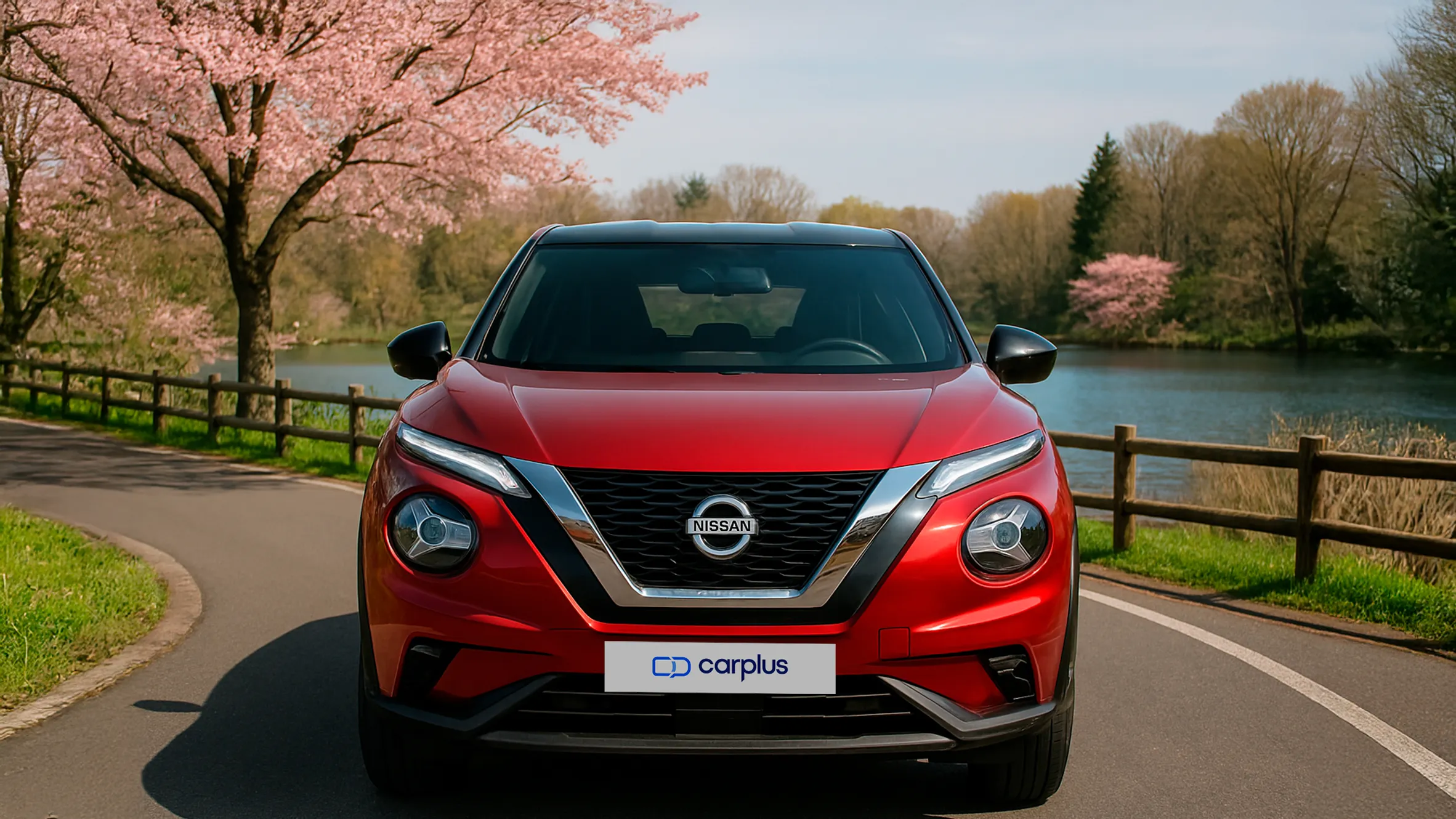 Nissan Juke de segunda mano