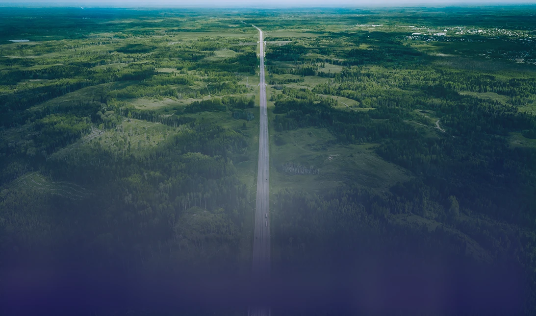 Estrada verde vista aérea
